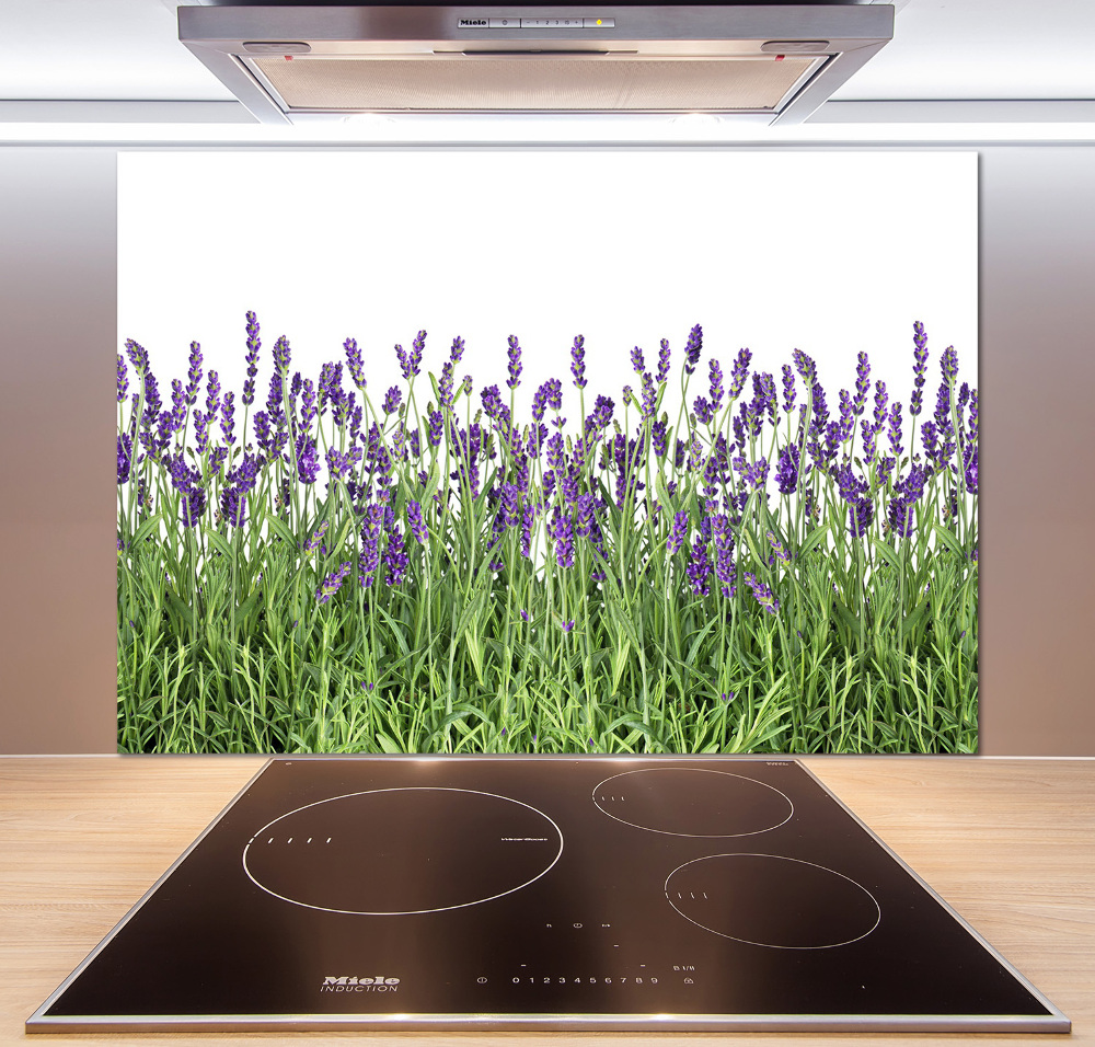 Kitchen splashback Lavender flowers