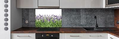 Kitchen splashback Lavender flowers