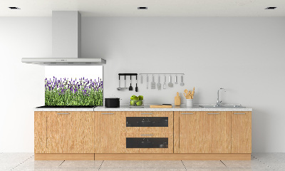 Kitchen splashback Lavender flowers