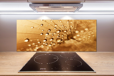 Kitchen splashback Dandelion