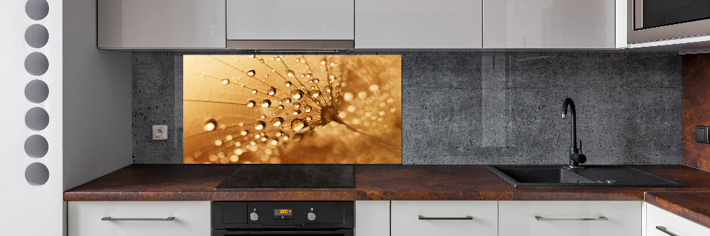 Kitchen splashback Dandelion