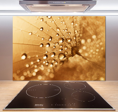 Kitchen splashback Dandelion