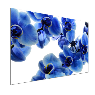 Kitchen splashback Blue orchid