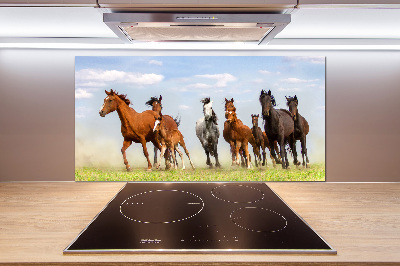 Kitchen splashback Horses at gallop