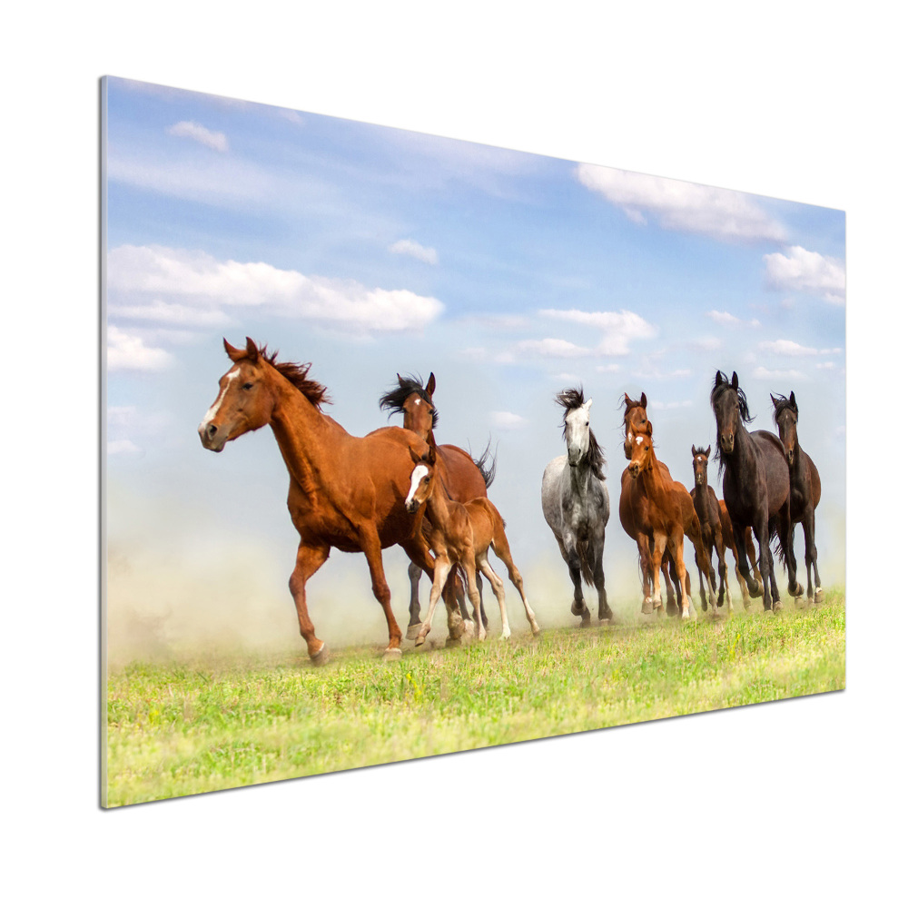 Kitchen splashback Horses at gallop