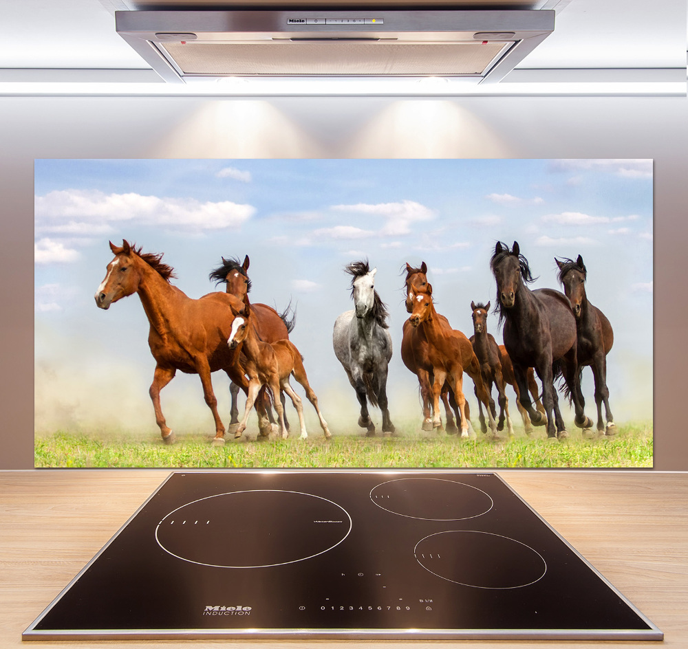 Kitchen splashback Horses at gallop