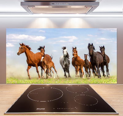 Kitchen splashback Horses at gallop