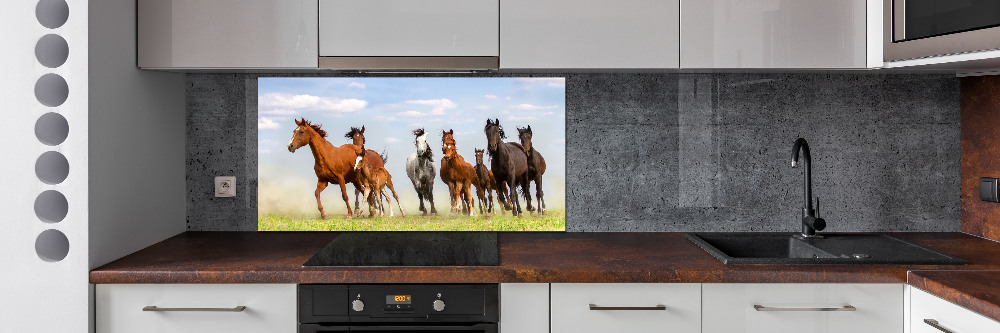 Kitchen splashback Horses at gallop