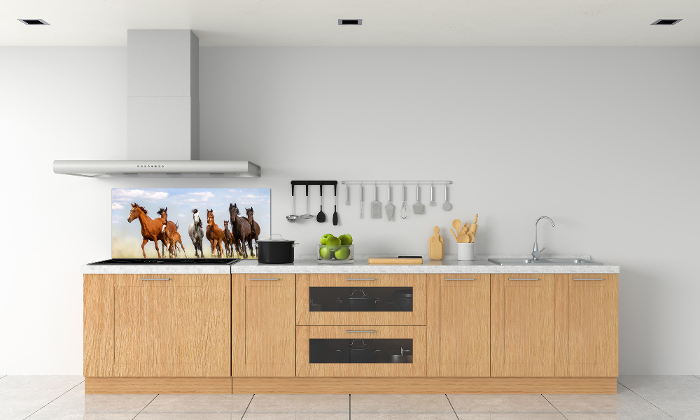 Kitchen splashback Horses at gallop