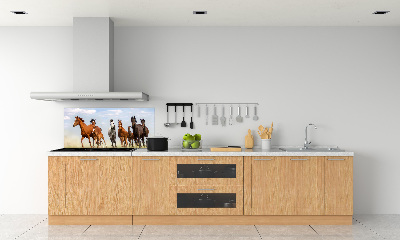 Kitchen splashback Horses at gallop