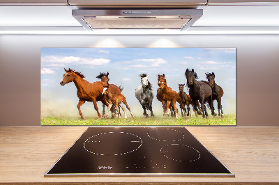 Kitchen splashback Horses at gallop