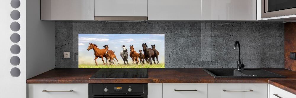 Kitchen splashback Horses at gallop