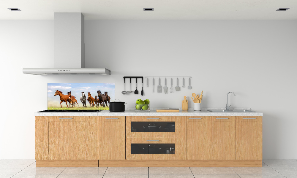 Kitchen splashback Horses at gallop