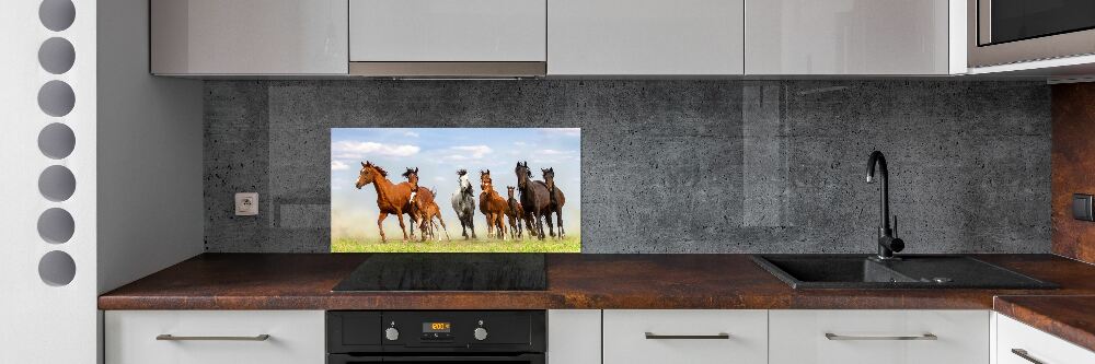 Kitchen splashback Horses at gallop