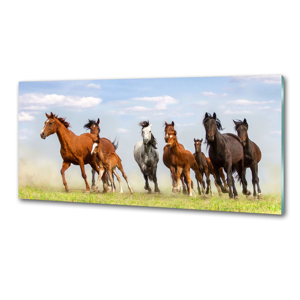 Kitchen splashback Horses at gallop