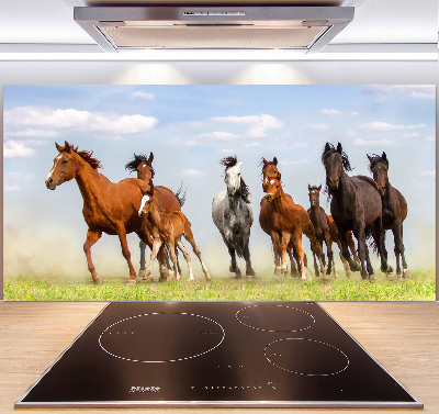 Kitchen splashback Horses at gallop