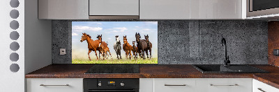 Kitchen splashback Horses at gallop