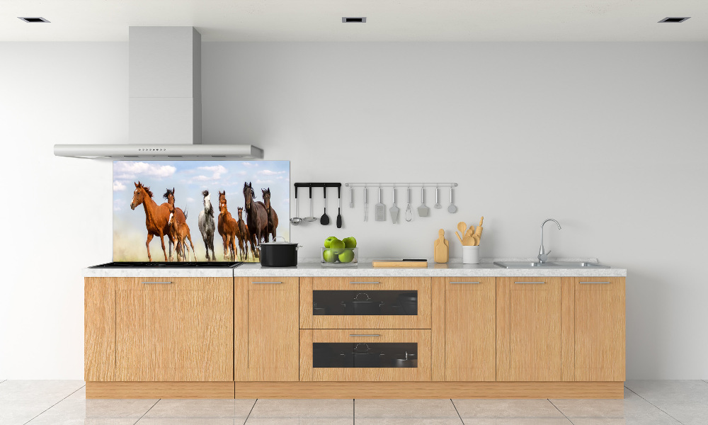 Kitchen splashback Horses at gallop