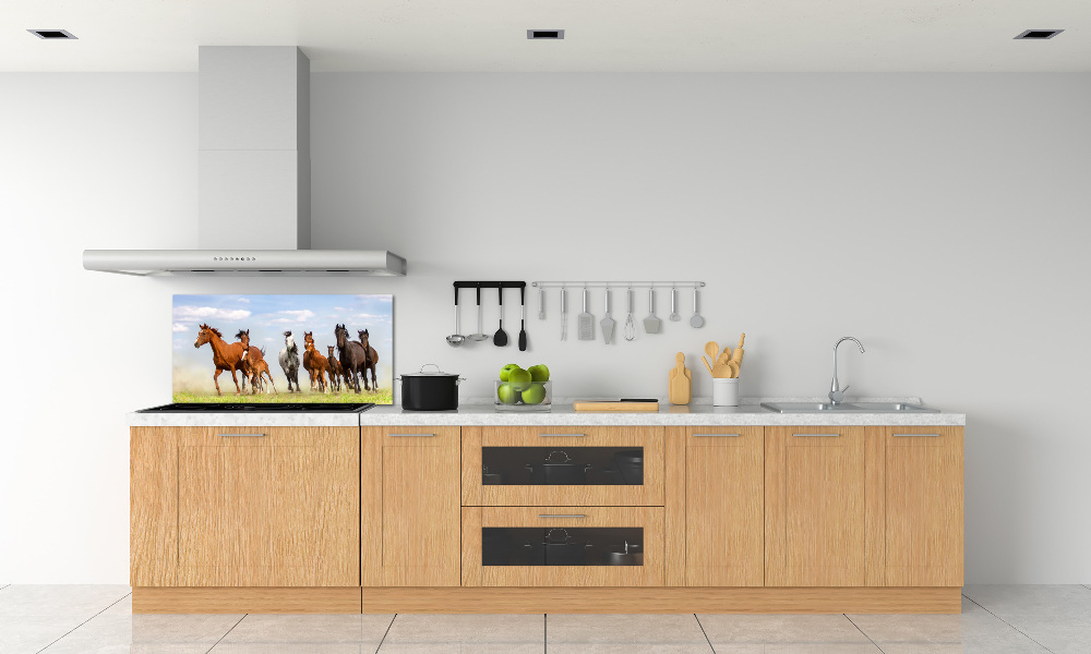 Kitchen splashback Horses at gallop