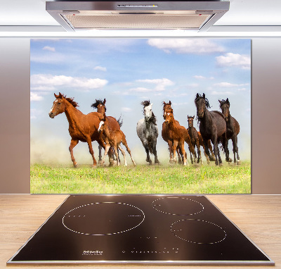 Kitchen splashback Horses at gallop