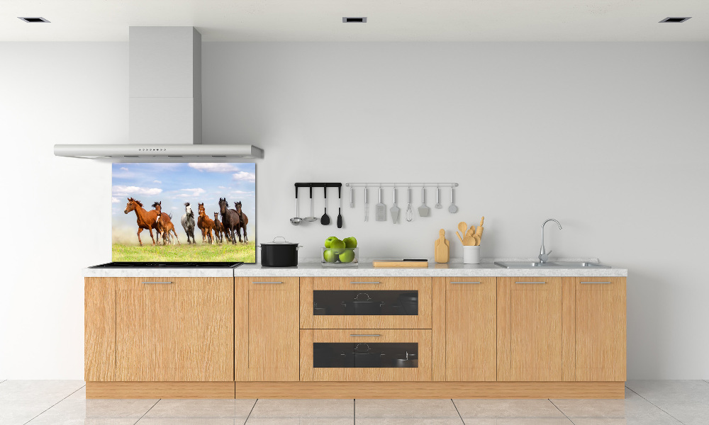 Kitchen splashback Horses at gallop