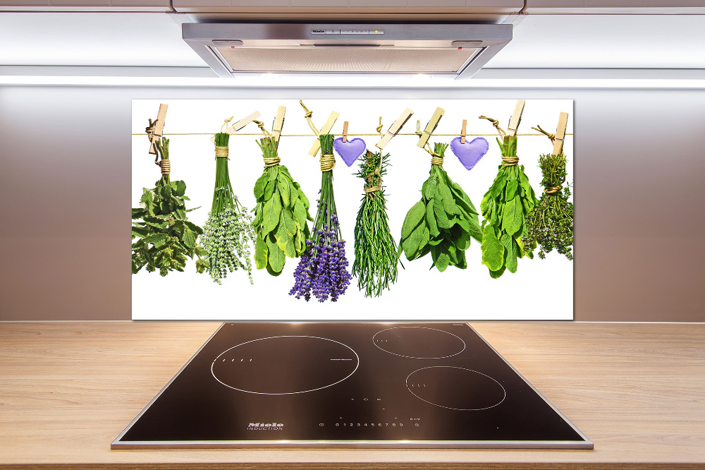 Glass splashback Herbs on a string