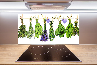 Glass splashback Herbs on a string