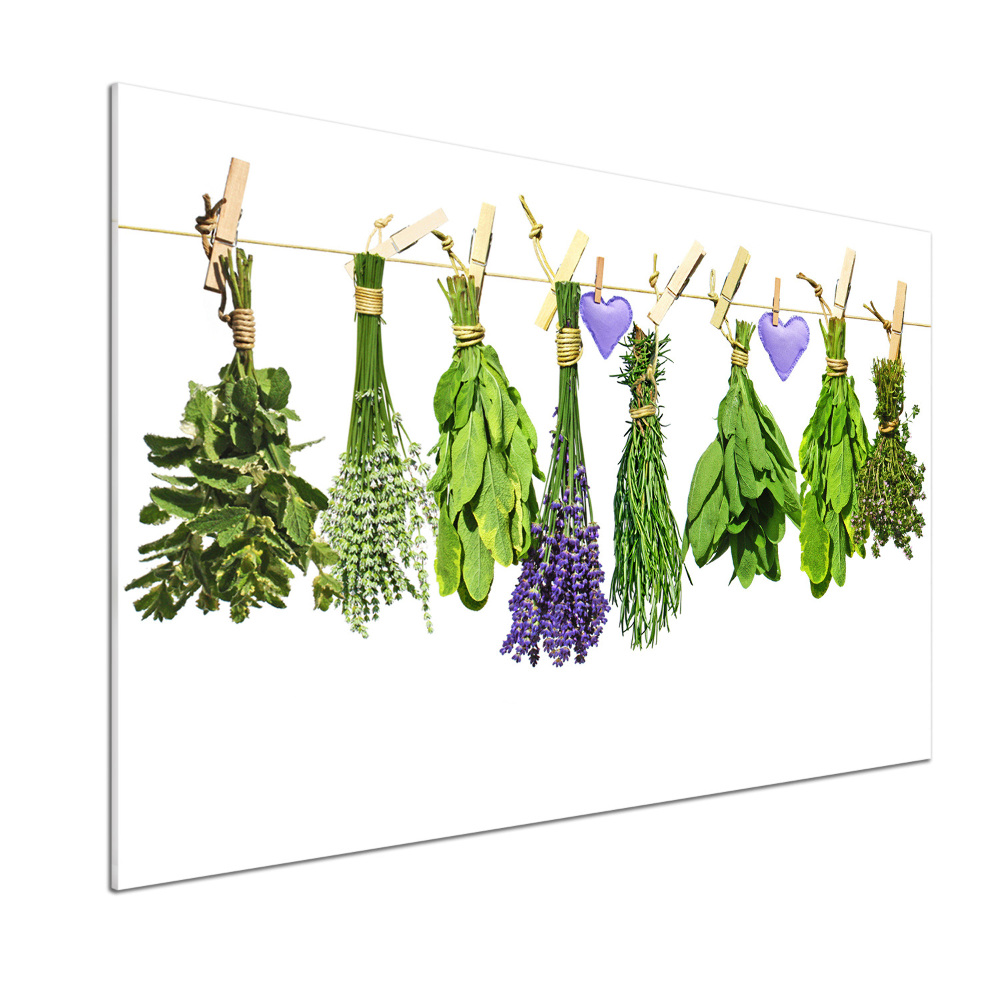 Glass splashback Herbs on a string