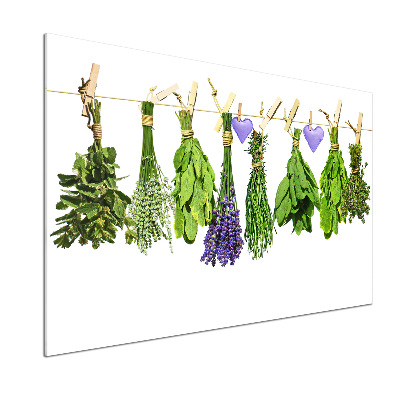 Glass splashback Herbs on a string