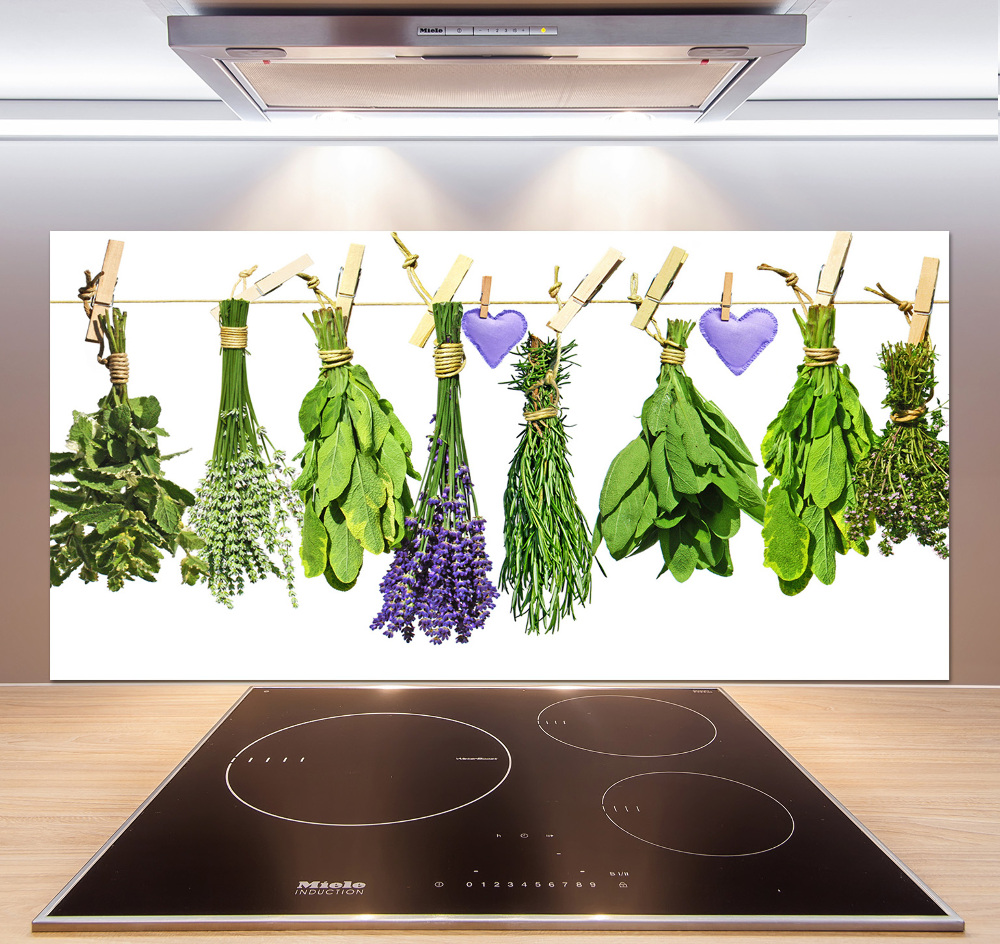 Glass splashback Herbs on a string