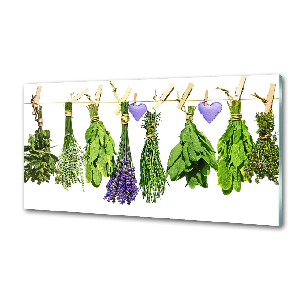 Glass splashback Herbs on a string