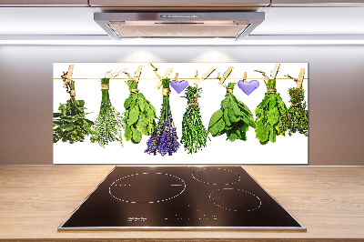 Glass splashback Herbs on a string