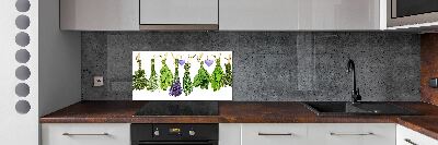 Glass splashback Herbs on a string