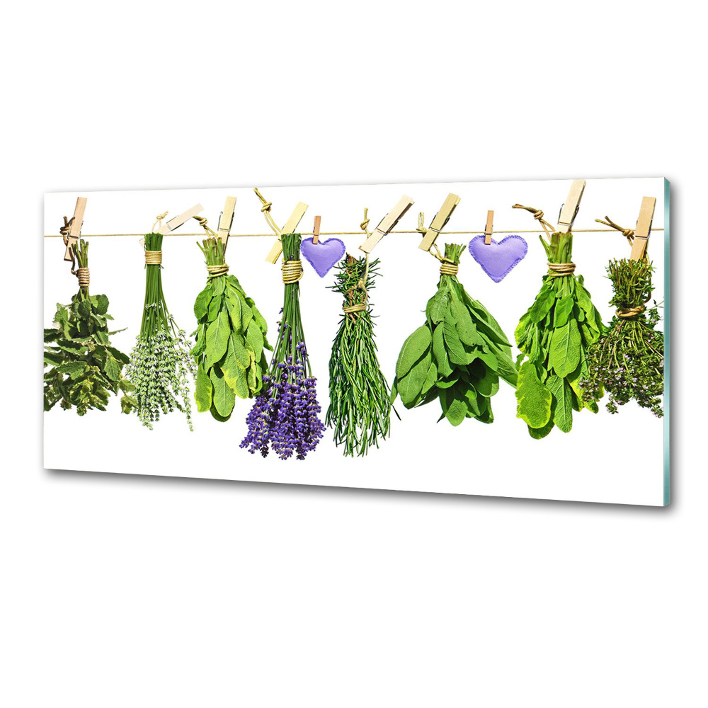 Glass splashback Herbs on a string