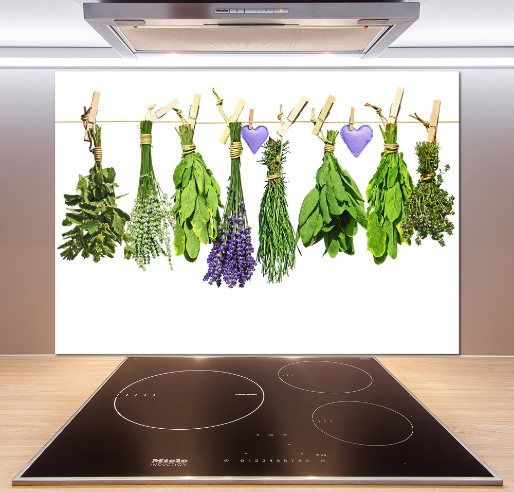 Glass splashback Herbs on a string