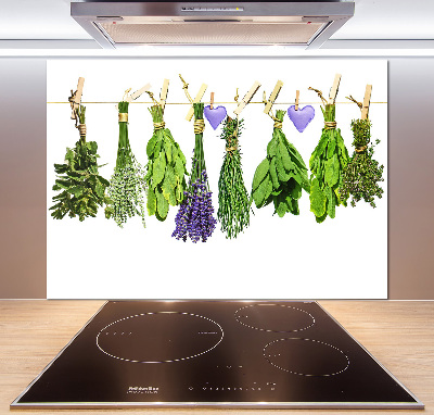 Glass splashback Herbs on a string