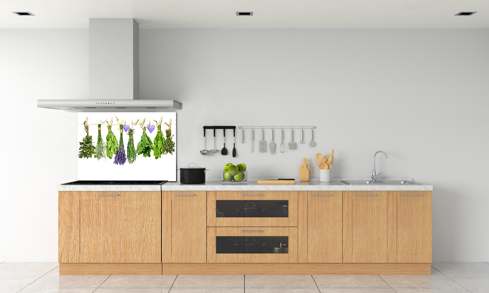 Glass splashback Herbs on a string