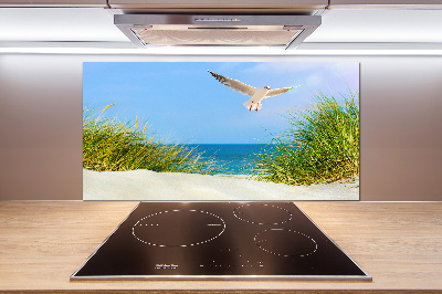 Glass splashback Seagull on the beach