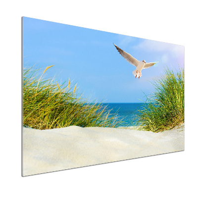 Glass splashback Seagull on the beach