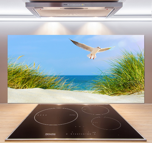 Glass splashback Seagull on the beach