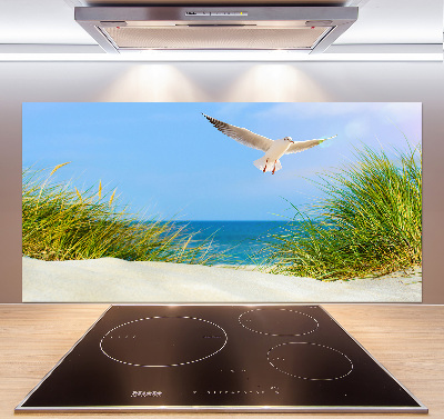 Glass splashback Seagull on the beach