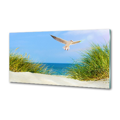 Glass splashback Seagull on the beach