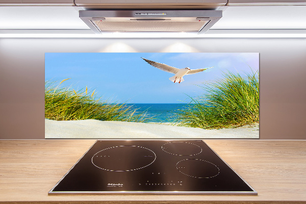 Glass splashback Seagull on the beach