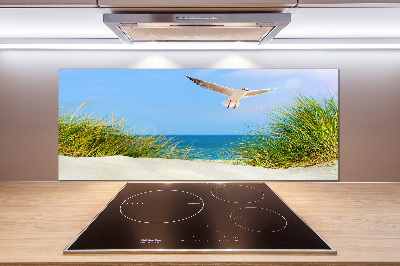 Glass splashback Seagull on the beach