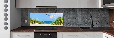 Glass splashback Seagull on the beach