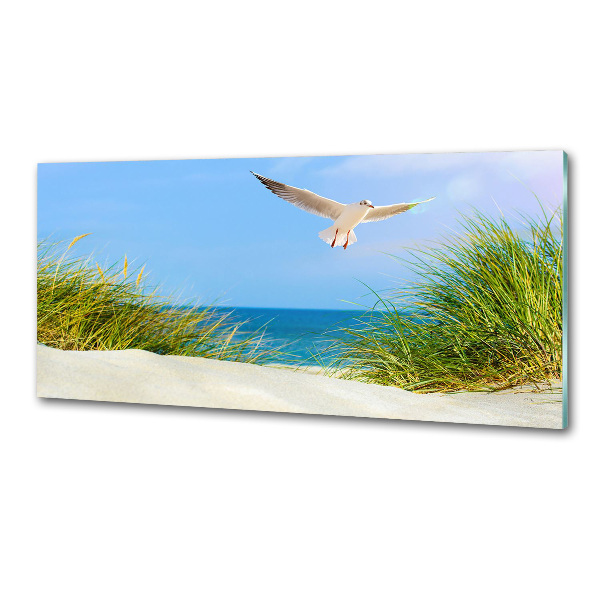 Glass splashback Seagull on the beach