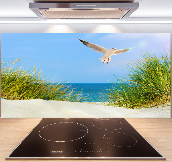 Glass splashback Seagull on the beach