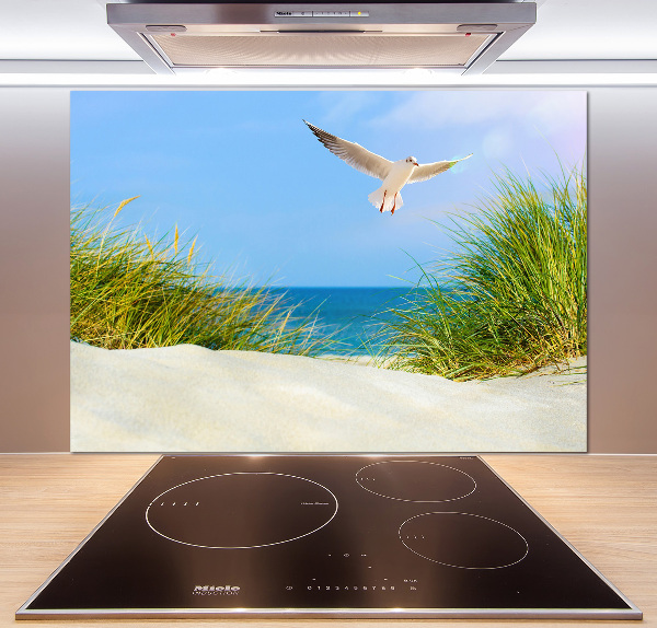 Glass splashback Seagull on the beach