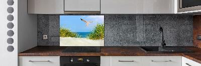 Glass splashback Seagull on the beach