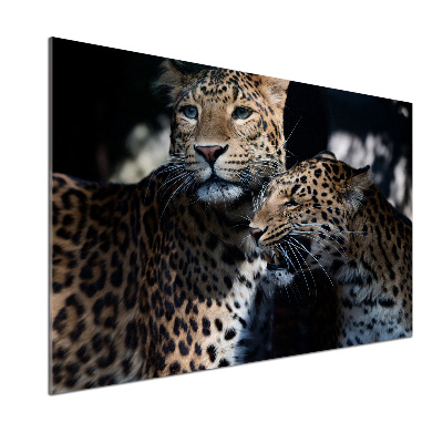 Glass splashback Two leopards